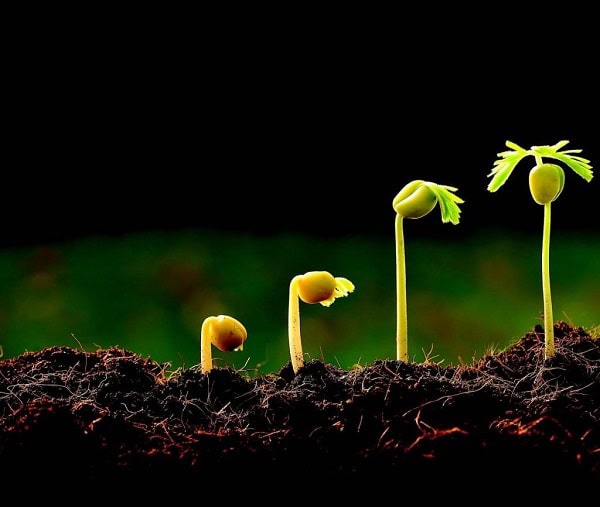 The History of Christians in Nepal